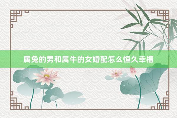 属兔的男和属牛的女婚配怎么恒久幸福